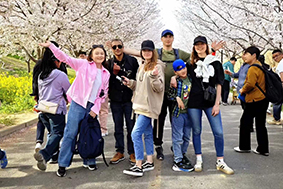 Fengle Cherry Blossom Garden Study Tour